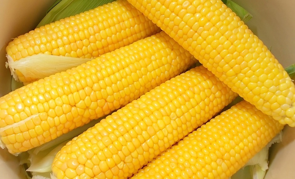 Кукуруза вареная
